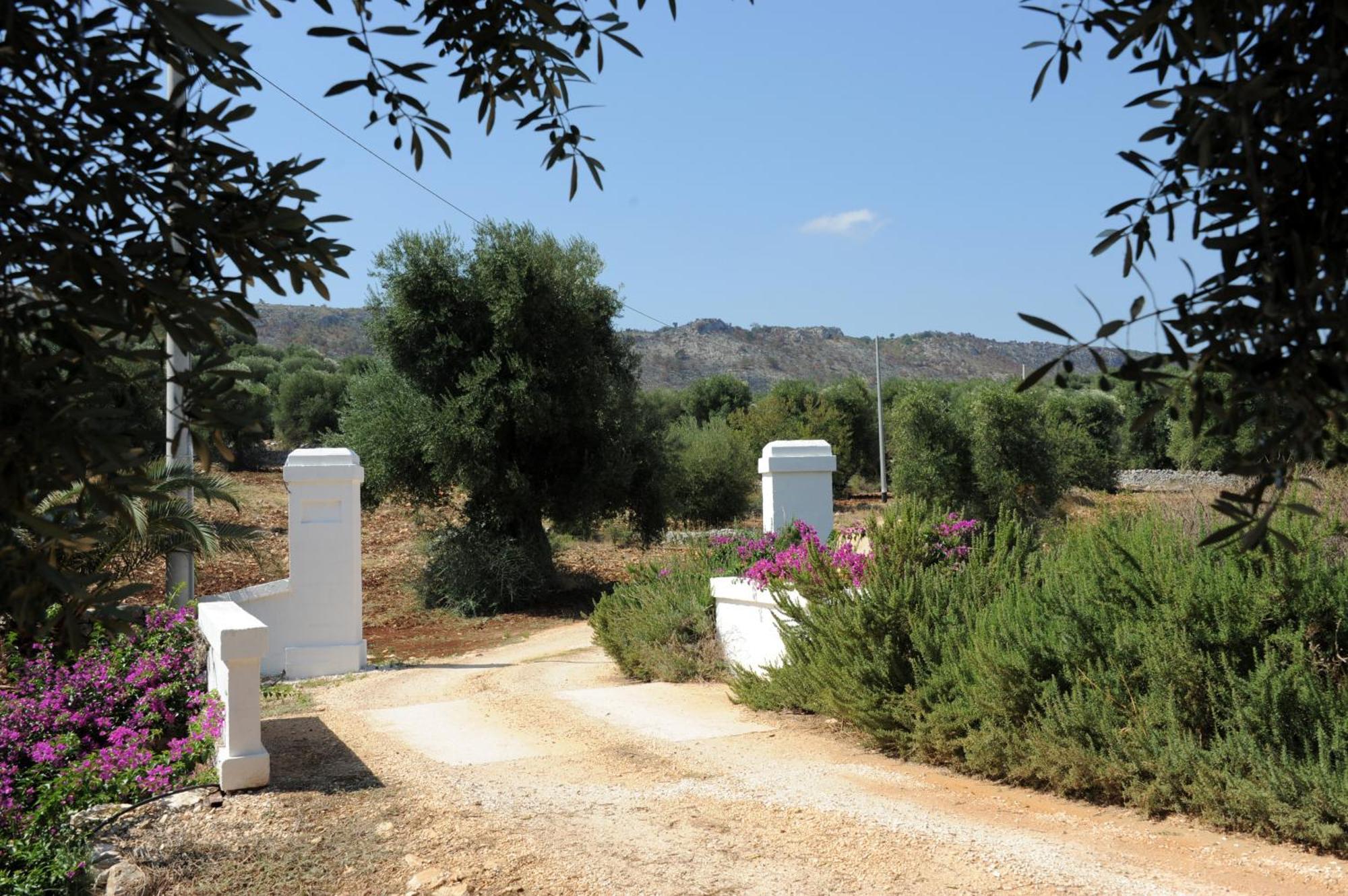 Masseria Lama Di Galizia オストゥーニ エクステリア 写真