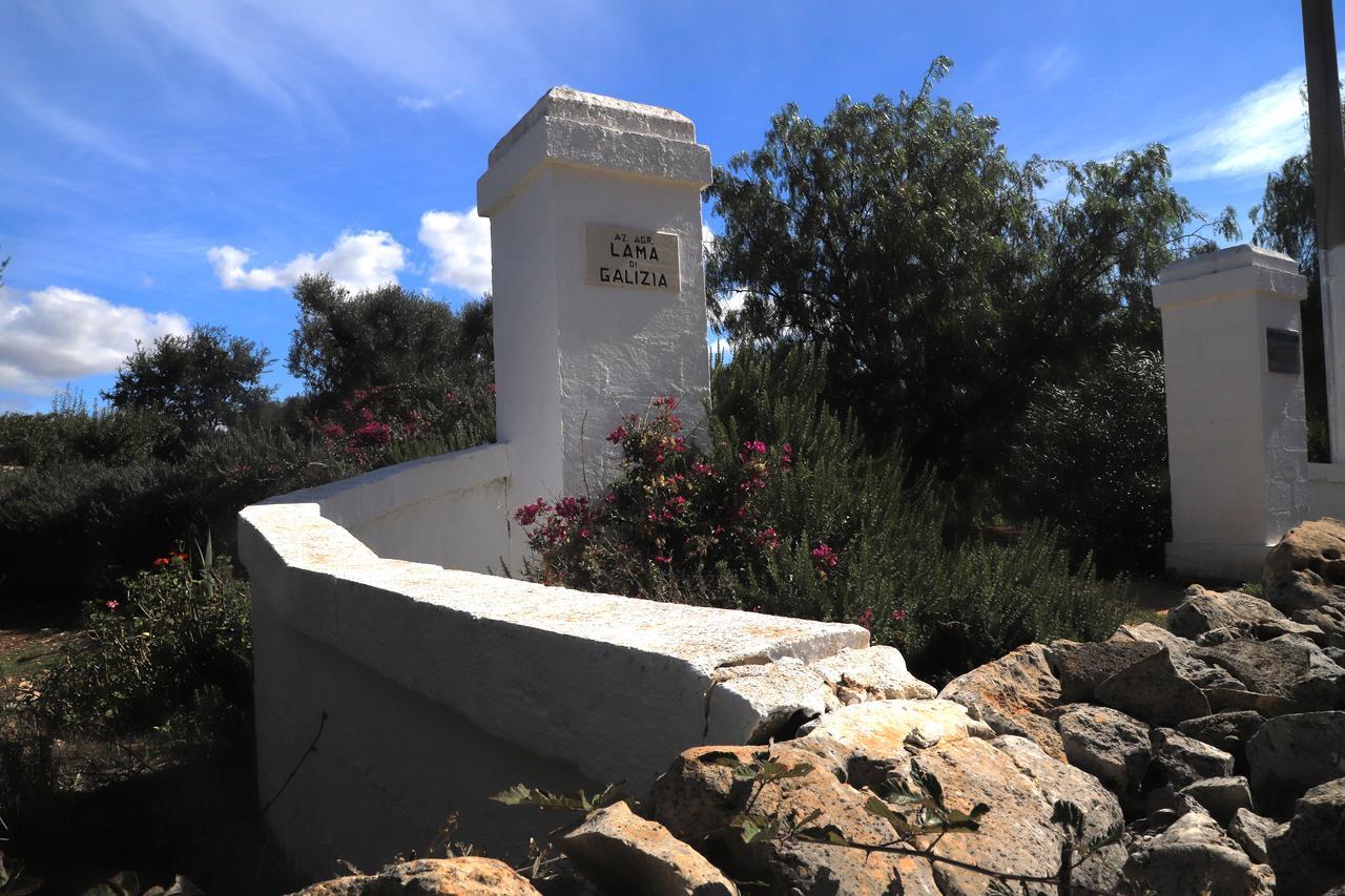 Masseria Lama Di Galizia オストゥーニ エクステリア 写真