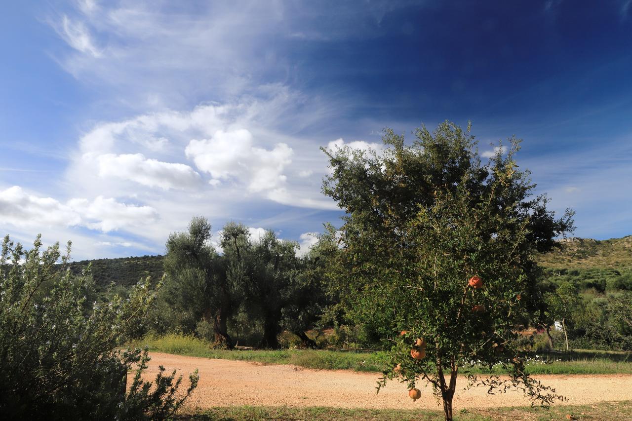 Masseria Lama Di Galizia オストゥーニ エクステリア 写真
