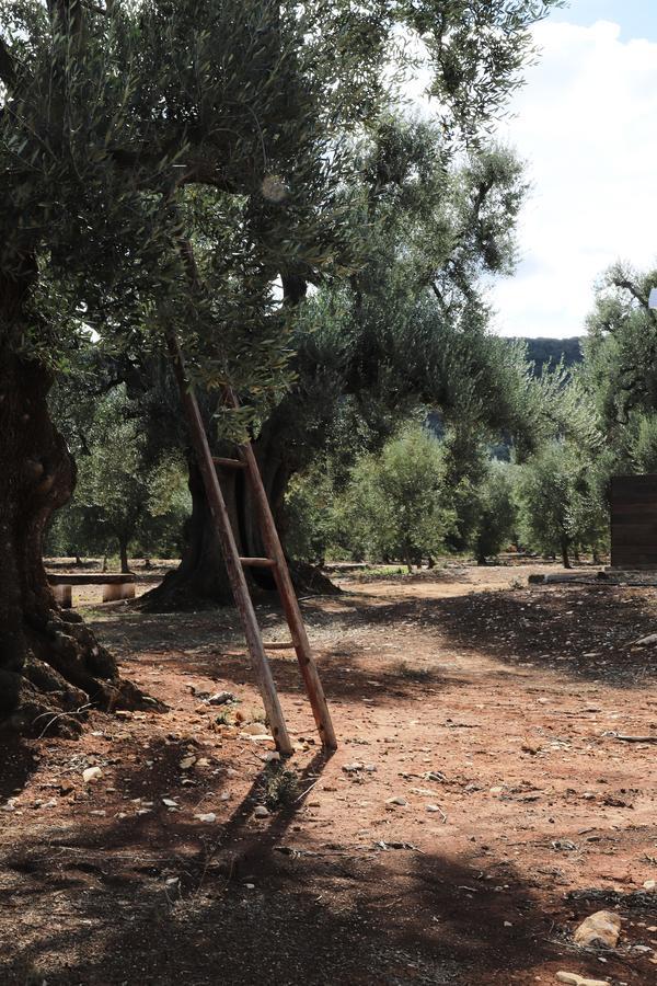 Masseria Lama Di Galizia オストゥーニ エクステリア 写真